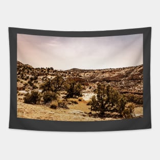 Utah Route State 12 Scenic Drive Tapestry