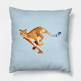 Cheetah Isolated Pillow