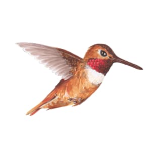 Hummingbird T-Shirt