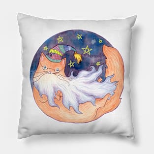 Wizard Cat Pillow