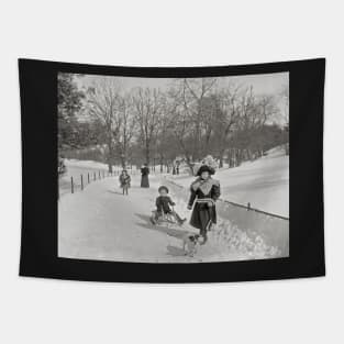 Winter in Central Park, 1900. Vintage Photo Tapestry