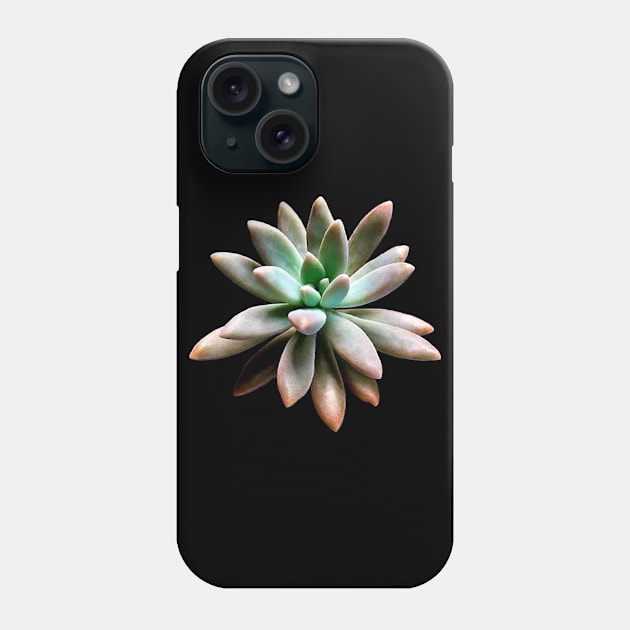 Graptosedum Francesco Baldi Phone Case by NerdsbyLeo