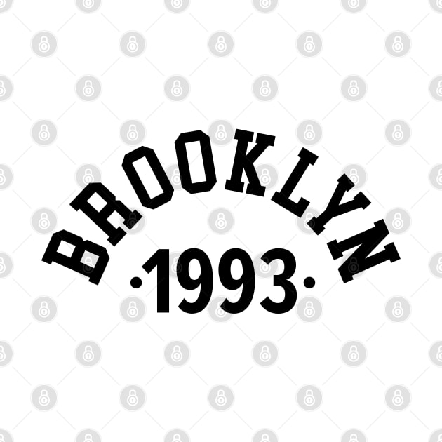 Brooklyn Chronicles: Celebrating Your Birth Year 1993 by Boogosh