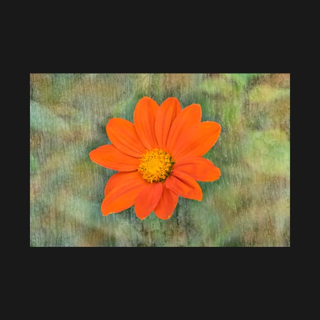 Mexican Marigold by RosNapier