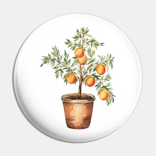 Orange tree in the pot Pin