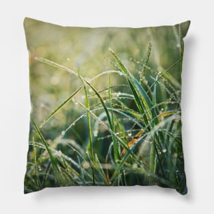 grass dew Pillow