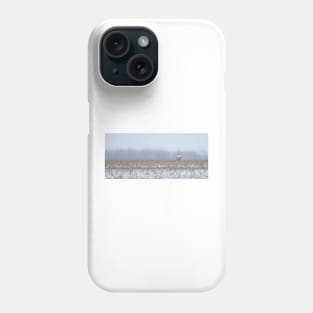 Snowy Owl - peek a boo! Phone Case