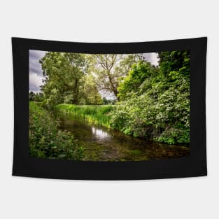 The River Itchen Tapestry