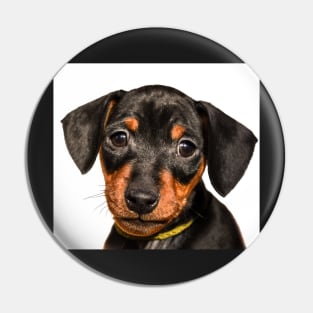 Portrait of black puppy Pin