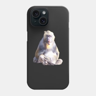 Mandrill Phone Case