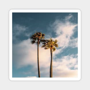 Palm Trees Magnet