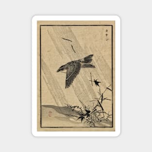 vintage bird Magnet