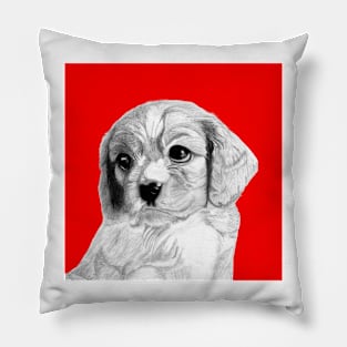 Cavalier King Charles Spaniel Puppy in Red Pillow