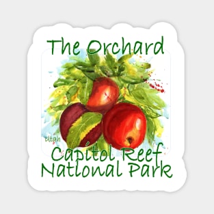 Capitol Reef National Park, The Orchard Magnet