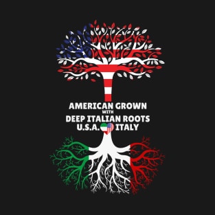 American Grown With Deep Italian Roots Italy Heart USA T-Shirt