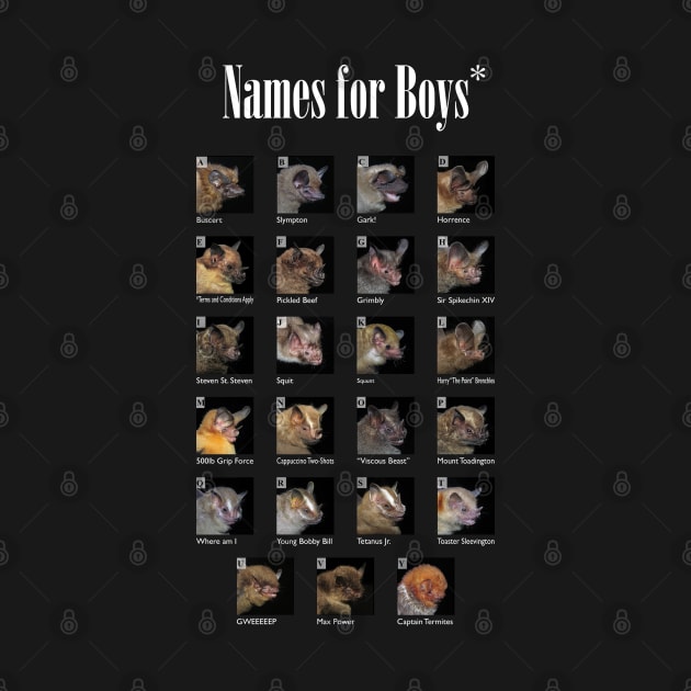 Names for Boys by RoseTintedGlasses