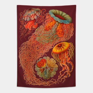 Haeckel Discomedusae Enhanced Antique Engraving Tapestry