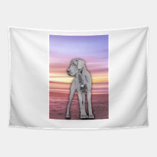 Great Dane In Sunset Tapestry