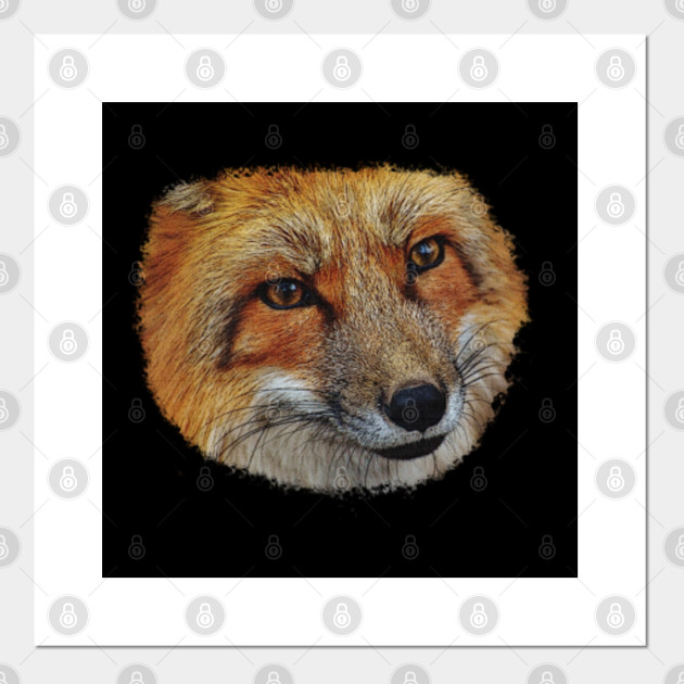 Fox Face Portrait Animals Nature Cute Fox Affiche Et Impression D Art Teepublic Fr