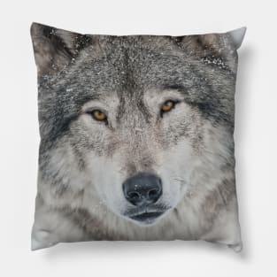 Timber Wolf Pillow