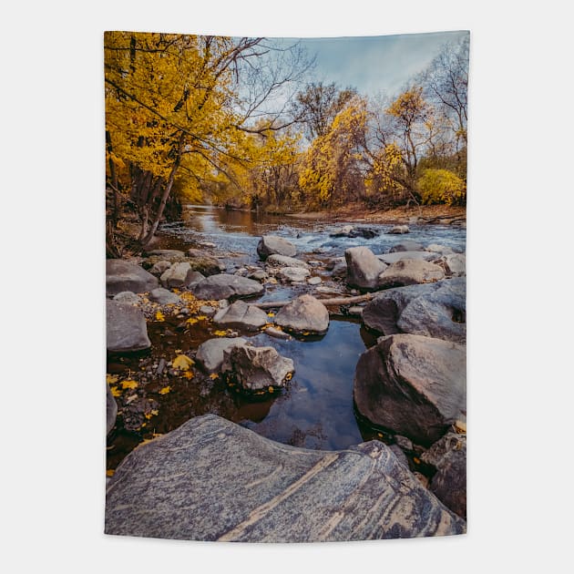 Stream of Stones. Landscape Photograph Tapestry by love-fi