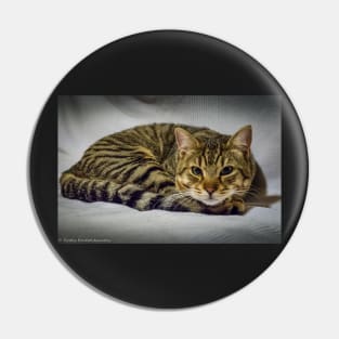 Marco the cat Pin