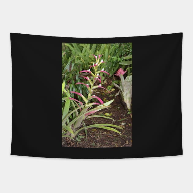 Bromeliads Tapestry by Carole-Anne