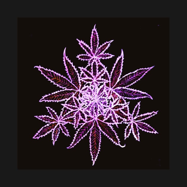 Super Purple Cannabis Mandala by Signe23