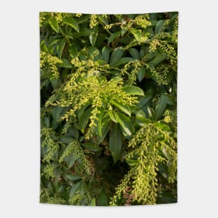 Foliage Tapestry