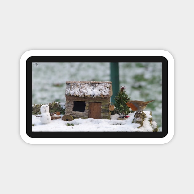 christmas snow robin Magnet by Simon-dell