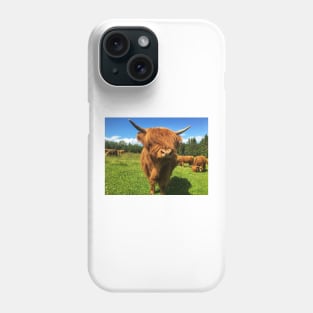 Scottish Highland Cattle Calf 2024 Phone Case