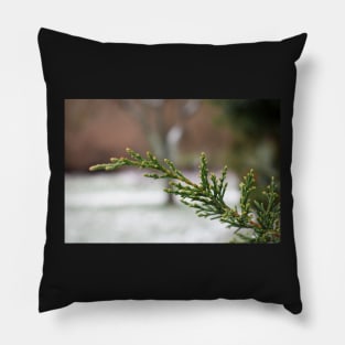 Pine tree branch Pillow