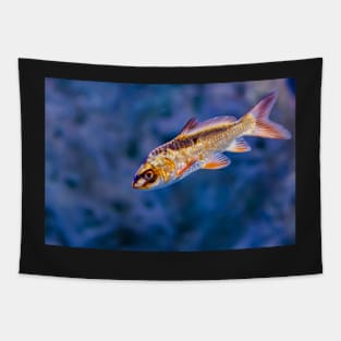 Golden iridescent aquarium fish Tapestry