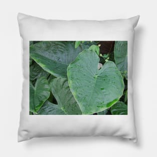 Eve Leaf Pillow