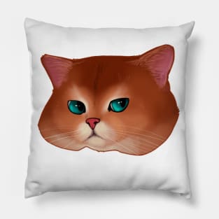 T-shirt cat muzzle Pillow