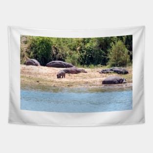 Hippo Family in Kruger National Park - South Africa Tapestry