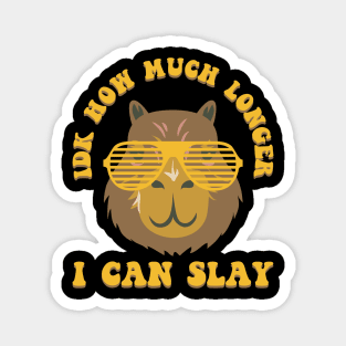 Idk How Much Longer I Can Slay Funny Capybara meme Magnet