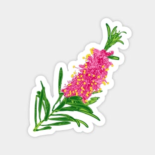 Cute Pink Australian Native Flower Magnet