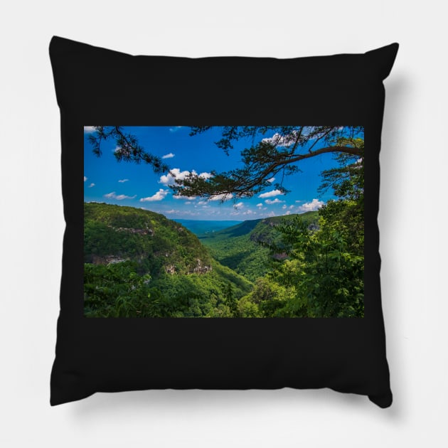 Cloudland Canyon Pillow by Ckauzmann