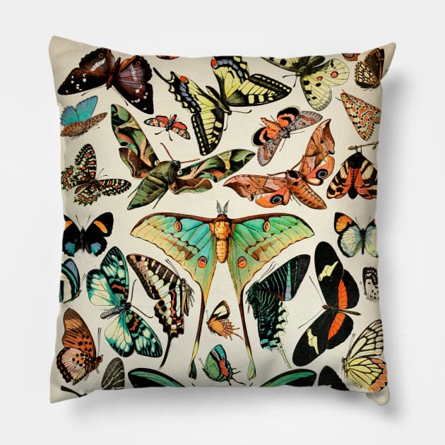 Papillon I Vintage French Butterfly Charts by Adolphe Millot Pillow by visionarysea