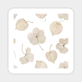 Physalis dry flowers watercolor print. Golden berry leaf structure. Cape gooseberry elegant floral print Magnet