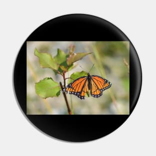 Monarch Butterfly Pin