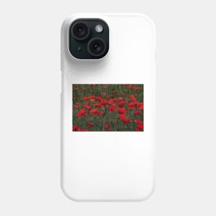 bright red glowing poppy in a field of wild uncultivated flowers Phone Case