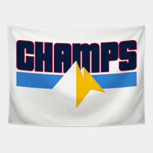 CHAMPS of the World - Denver basketball! Tapestry