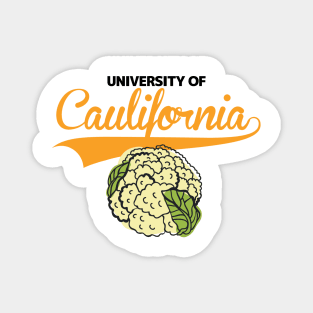 University of Caulifornia (California) Magnet