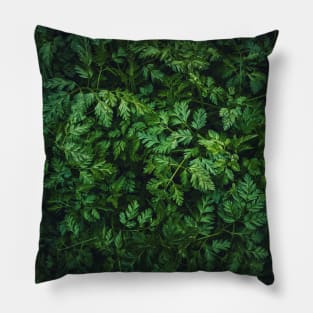 Wild parsley texture Pillow