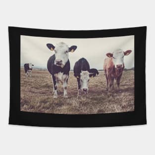 Curious Cows Tapestry