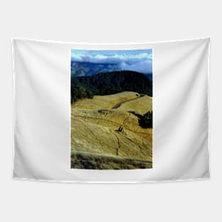 Mount Tamalpais, California Tapestry