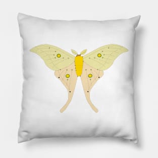 Luna Moth Pillow