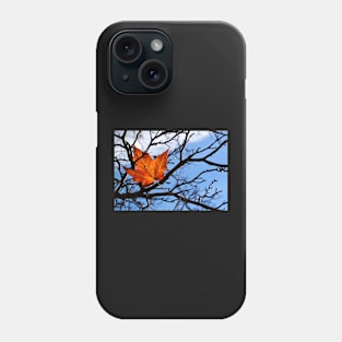 Fallen Red Maple Leaf Phone Case